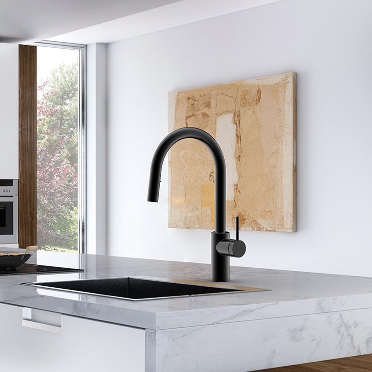 Contemporary Faucet Stainless Steel 304 Kitchen Sink Water Tap Black Kitchen Sink Faucet