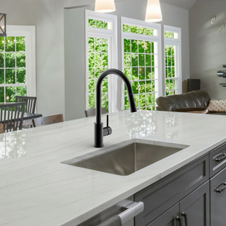 Stainless Steel Mixer Hot And Cold Water Flexible Kitchen Faucet Black Pull-Down Kitchen Faucet