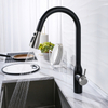 One-handle Spot Resist Matt Black Modern Faucet Kitchen Pull Down Mixer Kitchen Tap