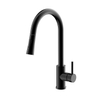 Long Neck Sink Mixer Tap Single Handle Black Faucet 304 Kitchen Sink Tap with Pull Down Spray