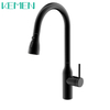 Single Handle Flexible Hose For Kitchen Mixer Tap Stainless Steel 304 Matte Black Kitchen Faucet Pull Down